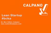 2012-07 Lean Startup at #bcka by Calpano