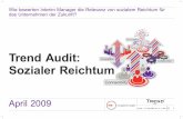 Trend Audit 2009. Sozialer Reichtum