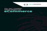 DLRdesign Mobile Commerce und e-Commerce