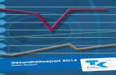 Pressekonferenz: "TK-Gesundheitsreport 2014" (17. Juni 2014)