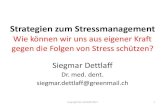Dr. Siegmar Dettlaff - Strategien zum Stressmanagement?