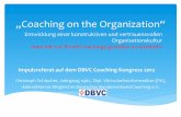 Organisations-Coaching statt mit Einzel-Coachings scheitern (DBVC Coaching Kongress 2012)
