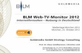 BLM Web-TV-Monitor 2012