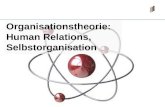 Management 6: Organisationstheorien: Human Relations, Situativer Ansatz, Selbstorganisation