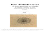 Ernst Haeckel - Protistenreich (1878)