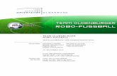 Team Oldenburger Robo-Fußball – Abschlussbericht  der Projektgruppe  2010