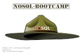 2012-08-29 - NoSQL Bootcamp (Redis, RavenDB & MongoDB für .NET Entwickler)