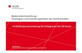 Bestandsentwicklung – Strategien und Handlungsfelder der SLUB Dresden