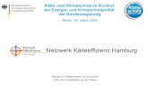 Kälteeffizienz-Netzwerk Hamburg (Jörn Pagels, Behörde für Stadtentwicklung und Umwelt)