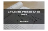 Internet Und Politik