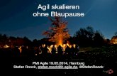 Agile Skalierung ohne Blaupause (PMI Agile Hamburg, 19.05.2014)