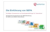 SEPA und die Folgen für Unternehmen