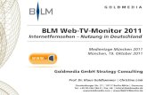 Web-TV-Monitor 2011, BLM und Goldmedia