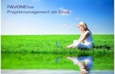 Projektmanagement SaaS, Projekte Software as Service
