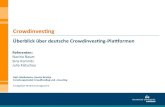 Überblick Crowdinvesting-Plattformen in Deutschland (Team 2)
