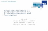 Projektmanagement & Innovation