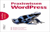 Praxiswissen Wordpress