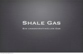 Shale gas pp