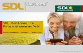 SDL BeGlobal im Unternehmensumfeld