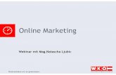 Webinar zu Online Marketing 2014