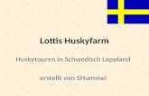 Urlaub in Schweden - Lottis Huskyfarm