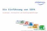 Die Einführung von SEPA - leicht verständlich und übersichtlich