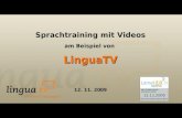 Philip Gienandt: Sprachtraining mit Videos am Beispiel von LinguaTV