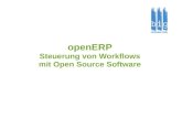Open Erp 5 Mit Deutscher Sprache Und Modulen