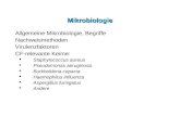 Mikrobiologie - CF relevante Keime