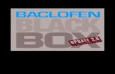 Blackbox update 2013