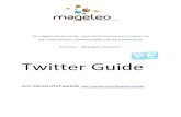Mageleo Twitter Guide