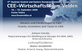 2009. Walter Baumann. Steuern und Förderungen in CEE. CEE-Wirtschaftsforum 2009. Forum Velden.
