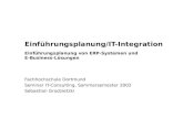 Einführungsplanung/IT-Integration Einführungsplanung von ERP-Systemen und E-Business-Lösungen Fachhochschule Dortmund Seminar IT-Consulting, Sommersemester.
