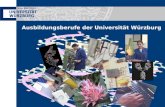 Ausbildungsberufe der Universität Würzburg. Fachinformatiker Fachrichtung Systemintegration Einrichtung und Pflege von komplexen Systemen Beraten und.