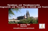 Www.gefaesszentrum-regensburg.de Thrombose und Thromboserisiko Diagnostik und Therapie in Klinik und Praxis 12. Oktober 2006 Bayreuth.