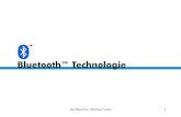 Jan Böschow, Michael Golze1. 2 1.Einleitung 2.Geschichte der Bluetooth-Technologie 3.Technische Grundlagen 4.Bluetooth- Architektur Hardware + Software.
