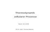 Thermodynamik zellularer Prozesse Stand: 15.11.2010 PD Dr. habil. Thomas Maskow.