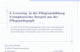 1 12-EW-G/H-461 Berufsbezogene Lehr-Lern-Arrangements als Integrationen didaktischer, methodischer und medialer Entscheidungen Veranstalter: Apl. Prof.