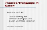 Transportvorgänge in Gasen Zum Versuch 11: Untersuchung der Wärmeleitfähigkeit von Gasen und Gasgemischen Janine Bursa, Nora Heinrich.
