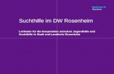 Suchthilfe im DW Rosenheim Leitfaden für die Kooperation zwischen Jugendhilfe und Suchthilfe in Stadt und Landkreis Rosenheim.