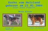 Darko vom Holzland geboren am 21.01.2004 Gringo vom BayertorZidaya vom Welland Meine Eltern Züchter: Andreas Pflugmacher.