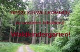 HERZLICH WILLKOMMEN zu unserem Infoabend Waldkindergarten!