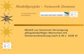 Modellprojekt – Netzwerk Demenz Modell zur besseren Versorgung pflegebedürftiger Menschen mit Demenzerkrankung nach § 45 c SGB XI Verbandsgemeinde Rheinböllen.