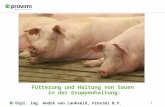 0 Fütterung und Haltung von Sauen in der Gruppenhaltung: Dipl. Ing. André van Lankveld, Provimi B.V.