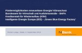 Fördermöglichkeiten erneuerbare Energie/ Klimaschutz Bundesamt für Wirtschaft und Ausfuhrkontrolle - BAFA Kreditanstalt für Wiederaufbau (KfW) Intelligente.