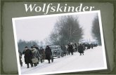 Was sind Wolfskinder allgemein Die Flucht Überlebenshilfe durch litauische Bauern Waisenhäuser in Litauen Film Fazit zum Film Bericht von einem Wolfskind.