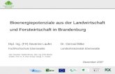S. Laufer FH Eberswalde G. Bilke Landesforstanstalt Eberswalde Bioenergiepotenziale aus der Landwirtschaft und Forstwirtschaft in Brandenburg Dipl. Ing.