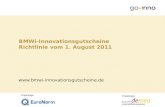 Projektträger BMWi-Innovationsgutscheine Richtlinie vom 1. August 2011 .