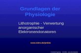 © Heribert Cypionka SS 2003,  Grundlagen der Physiologie  Lithotrophie - Verwertung anorganischer Elektronendonatoren.
