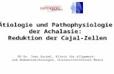 Ätiologie und Pathophysiologie der Achalasie: Reduktion der Cajal-Zellen PD Dr. Ines Gockel, Klinik für Allgemein- und Abdominalchirurgie, Universitätsklinik.